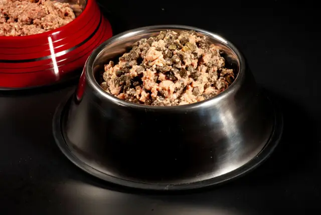 Как правильно кормить собак и кошек кормами на влажной основе